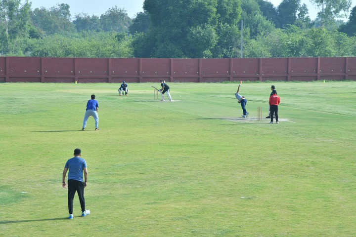 Cricket-ok-please-YWA-event