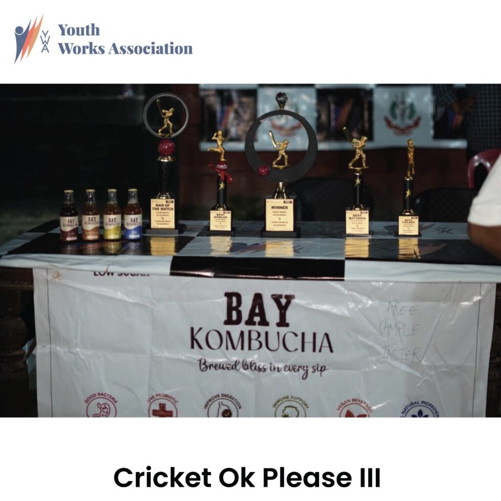 cricket-ok-please-3-ywa-event